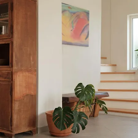 Zacharenia Cozy House With Sea Views 度假居 Avliótes
